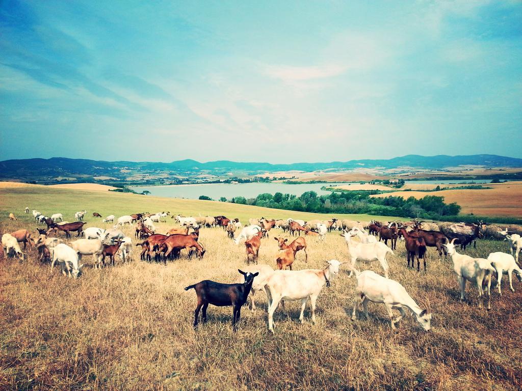 Agriturismo L'Impero ซานตาลูเช ภายนอก รูปภาพ