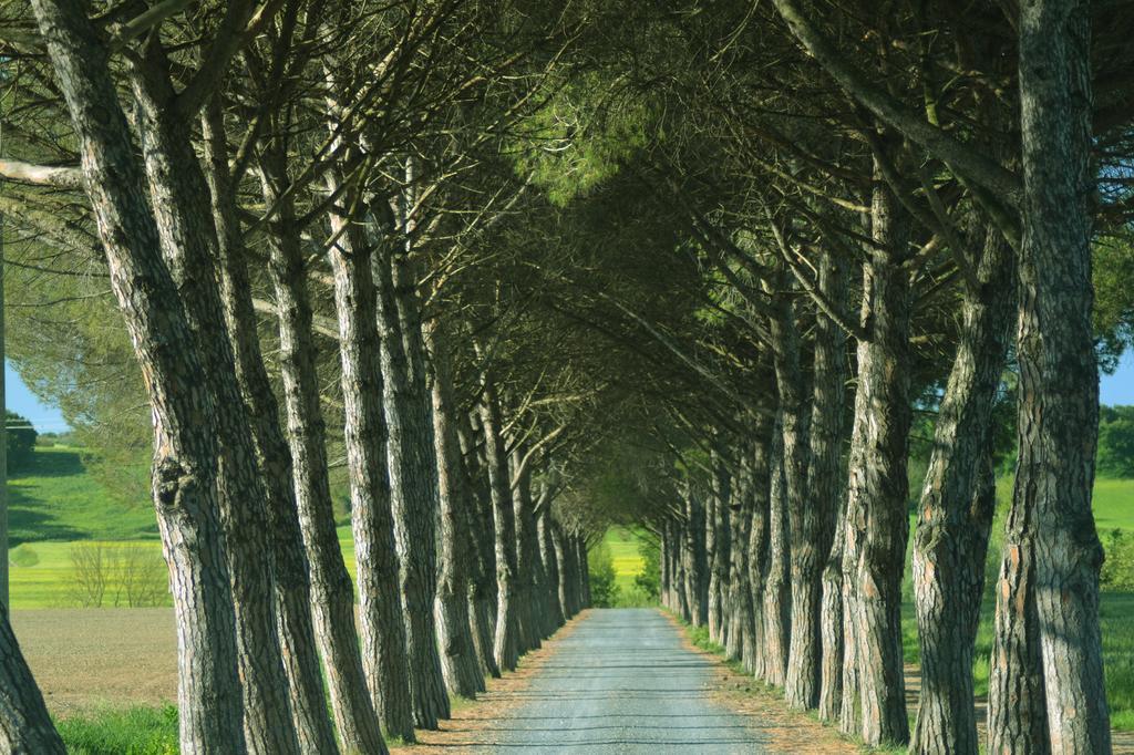 Agriturismo L'Impero ซานตาลูเช ภายนอก รูปภาพ
