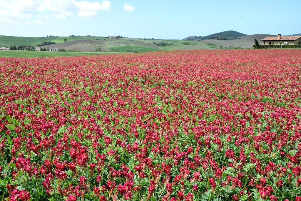Agriturismo L'Impero ซานตาลูเช ภายนอก รูปภาพ