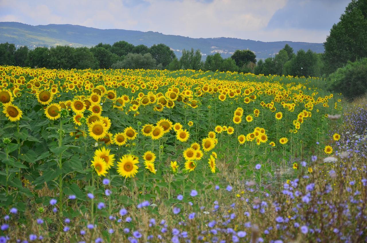 Agriturismo L'Impero ซานตาลูเช ภายนอก รูปภาพ